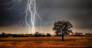 বজ্রপাতে ৭ জেলায় ১২ জনের মৃত্যু